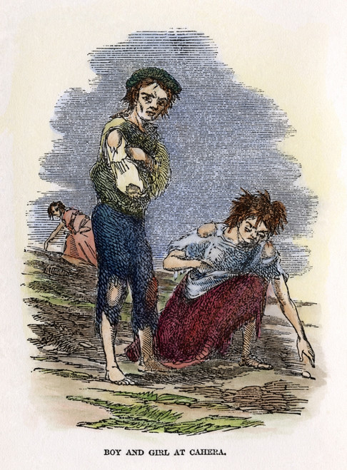 Great Potato Famine, 1840S. /Nstarving Irish Children Searching For Potatoes During The Great Potato Famine Of 1846-47. Contemporary Color Engraving. Poster Print by Granger Collection - Item # VARGRC0008071