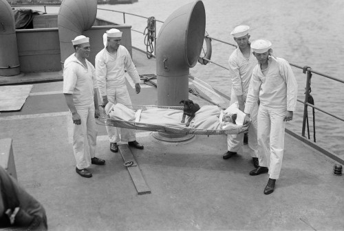 Uss Comfort, C1919. /Nreceiving The Sick And Wounded Aboard The Hospital Ship 'Uss Comfort.' Photograph, C1919. Poster Print by Granger Collection - Item # VARGRC0325800