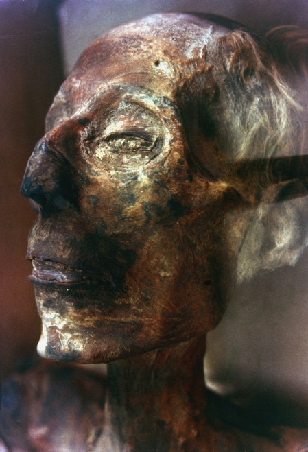 Ramses Ii (1292-1225 B.C.). /Nmummified Head Of King Ramses Ii Of Egypt. Poster Print by Granger Collection - Item # VARGRC0024616