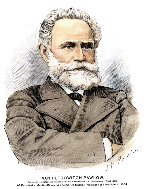 Ivan Petrovich Pavlov /N(1849-1936). Russian Physiologist. Pen-And-Ink Drawing, Swedish, 1904. Poster Print by Granger Collection - Item # VARGRC0073755