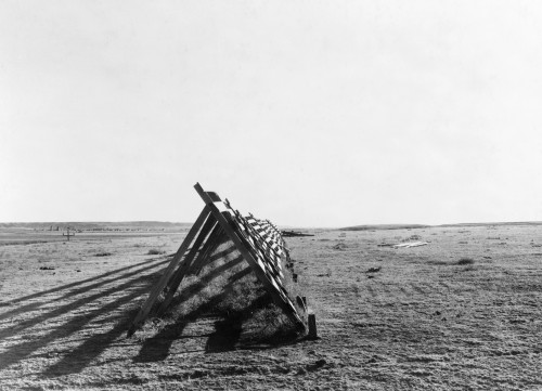 Montana: Drought, 1936. /Ndry Farmland In Eastern Montana. Photograph By Arthur Rothstein, July 1936. Poster Print by Granger Collection - Item # VARGRC0107971