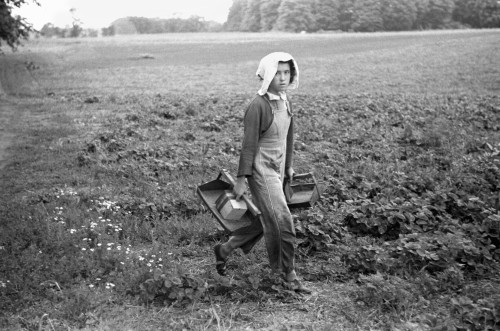 Migrant Farmer, 1940. /Na Young Migrant Strawberry Picker In Berrien County, Michigan. Photograph By John Vachon, July 1940. Poster Print by Granger Collection - Item # VARGRC0107496