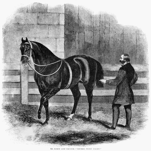 Racehorse, 1861. /N'Mr. Rarey And Cruiser - 'Cruiser, Shake Hands!'' Engraving, 1861. Poster Print by Granger Collection - Item # VARGRC0265980