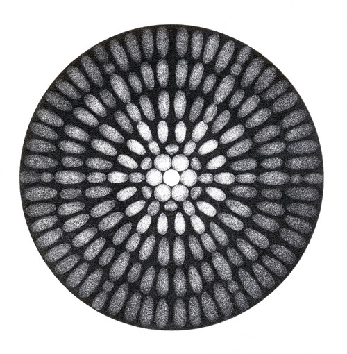 Fraunhofer Diffraction Patterns Poster Print by Science Source - Item # VARSCIBW7057