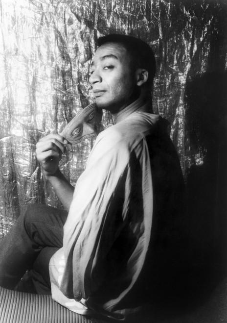 Henry Van Dyke (1928- ). /Namerican Editor, Journalist And Novelist. Photographed By Carl Van Vechten, 1962. Poster Print by Granger Collection - Item # VARGRC0125852