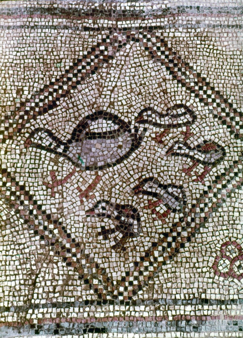 Synagogue, 6Th Century. /Nhen With Chicken. Detail Of A Border From The Mosaic Floor Of The Beth Alpha Synagogue In Present Day Israel. Early 6Th Century A.D. Poster Print by Granger Collection - Item # VARGRC0119237