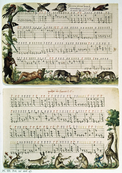 Lute Tablature. /Npage From A Lute Tablature Of Msuci. Italian, 16Th Century. Poster Print by Granger Collection - Item # VARGRC0031238