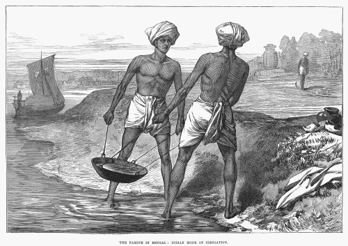 India: Shadoof, 1871./Ntraditional Method Of Irrigation Practised In Bengal During The Famine Of 1870-1871. Wood Engraving From A Contemporary English Newspaper. Poster Print by Granger Collection - Item # VARGRC0089414