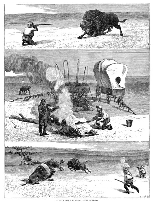 Buffalo Hunting, 1877. /N'A Day'S Still-Hunting After Buffalo.' Buffalo Hunters On The Great Plains. Engraving, American, 1877. Poster Print by Granger Collection - Item # VARGRC0264894
