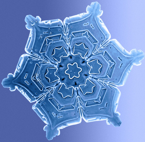 Snowflake Poster Print by Science Source - Item # VARSCIBL5117