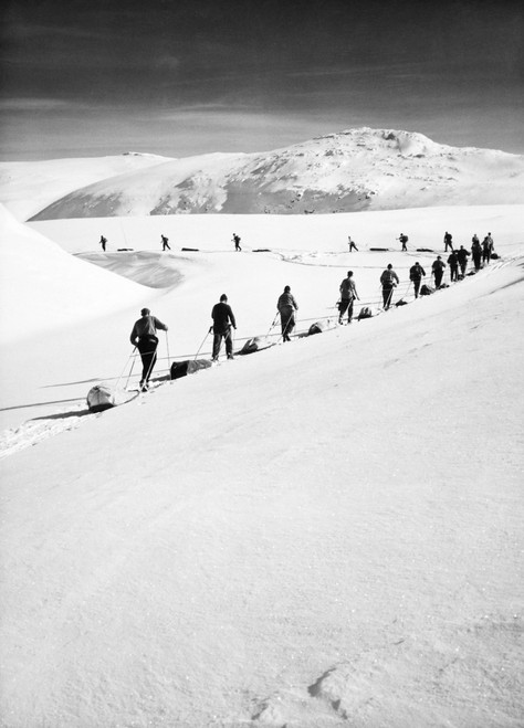 Cross Country Skiing. /Ncross-Country Skiing In Sweden, C1960. Poster Print by Granger Collection - Item # VARGRC0097941