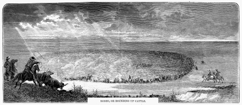 Cowboys, 1874. /N'Rodeo, Or Rounding Up Cattle.' Wood Engraving, American, 1874. Poster Print by Granger Collection - Item # VARGRC0030612