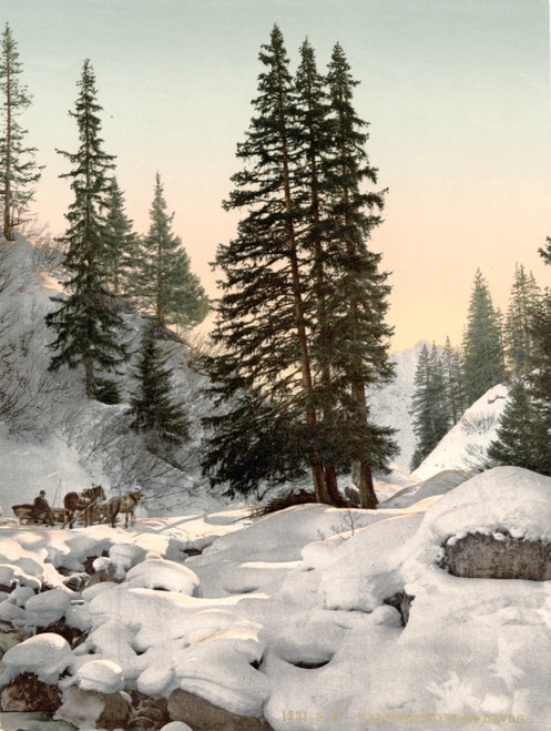 Switzerland: Davos, C1895. /Nwinter Landscape In Davos, Grison, Switzerland. Photochrome, C1895. Poster Print by Granger Collection - Item # VARGRC0127323