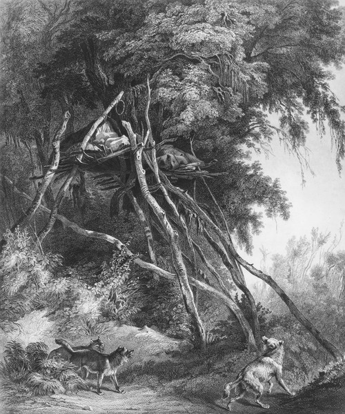 Native American Tombs. /Ntree-Top Tombs Built By Assiniboin Native Americans. Line Engraving After An Illustration By Karl Bodmer, 1843. Poster Print by Granger Collection - Item # VARGRC0032752