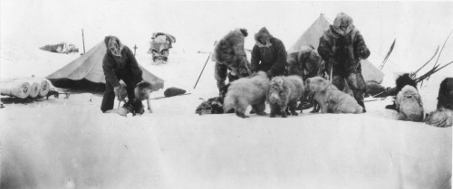 Fridtjof Nansen (1861-1930). /Nnorwegian Arctic Explorer And Statesman. Nansen'S 1893-96 Polar Expedition Making Ready For A Start On A Sledge As They Leave The Expedition'S Ship "Fram." Poster Print by Granger Collection - Item # VARGRC0047140
