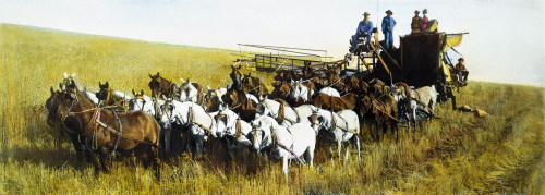 Harvesting, 1903. /Nin The State Of Washington. Oil Over A Photograph From 1903. Poster Print by Granger Collection - Item # VARGRC0008626