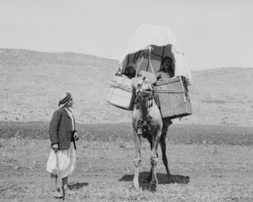 Middle Eastern Travelers. /Na Group Of Men Traveling By Camel In The Middle East. Photograph, Early 20Th Century. Poster Print by Granger Collection - Item # VARGRC0113193