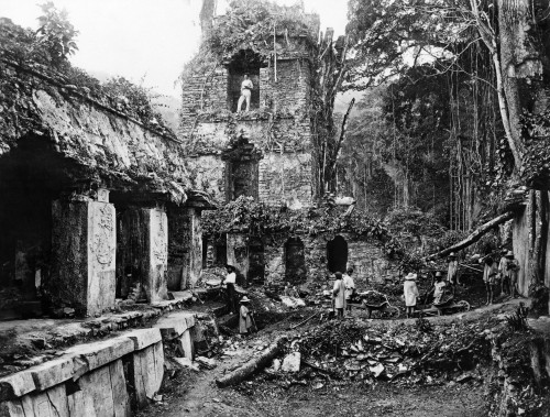 Mexico: Palenque, 1880S. /Nthe Palace At The Seventh Century Mayan Ruins Of Palenque, Mexico. Photographed By Alfred Percival Maudslay, 1883-1890. Poster Print by Granger Collection - Item # VARGRC0114510