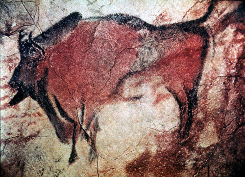 Cave Art: Altamira./Nstanding Bull Bison From Cave Of Altamira, Santander, Spain, C10,000 B.C. Poster Print by Granger Collection - Item # VARGRC0018860 Cave Art: Altamira./Nstanding Bull Bison From Cave Of Altamira, Santander, Spain, C10,000 B.C. Poster Print by Granger Collection - Item # VARGRC0018860