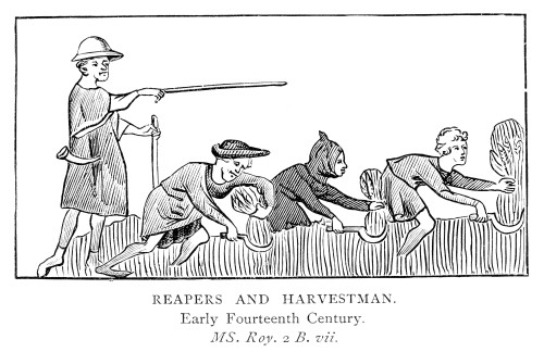 Harvesting, 14Th Century. /Nreapers And Harvesters. Engraving After An English Manuscript Illumination, Early 14Th Century. Poster Print by Granger Collection - Item # VARGRC0323187 Harvesting, 14Th Century. /Nreapers And Harvesters. Engraving After An English Manuscript Illumination, Early 14Th Century. Poster Print by Granger Collection - Item # VARGRC0323187