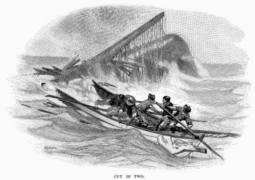Whaling: Accident. /Na Whale Cutting A Whaleboat In Two. Wood Engraving, American, C1875. Poster Print by Granger Collection - Item # VARGRC0101852