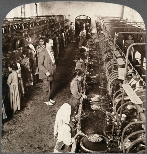 Lebanon: Silk, C1914. /N'Boiling Cocoons To Loosen Fibre Ends In Syria'S Largest Silk Reeling Plant, Mt. Lebanon.' Stereograph, C1914. Poster Print by Granger Collection - Item # VARGRC0324885