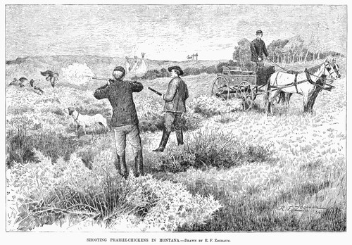Grouse Hunting, 1885. /Nshooting Prairie Chickens In Montana. Wood Engraving, American, 1885. Poster Print by Granger Collection - Item # VARGRC0096210