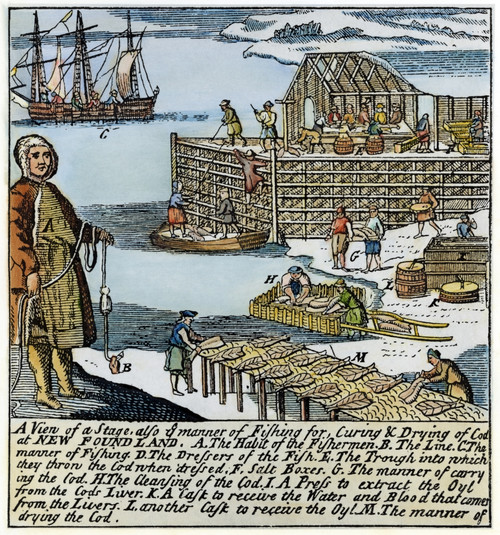 Newfoundland Fishery, 1738. /Nfishing For, Curing And Drying Codfish In Newfoundland. Color English Engraving, 1738. Poster Print by Granger Collection - Item # VARGRC0008328