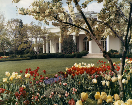 D.C.: White House, C1970. /Nthe White House In Washington, D.C. In The Spring, C1970. Poster Print by Granger Collection - Item # VARGRC0165818