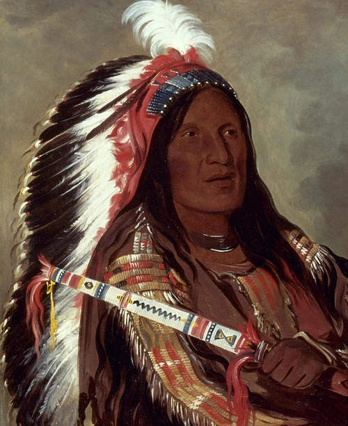 Catlin: Sioux Chief, 1832. /Ntah-Teck-A-Da-Hair, Steep Wind, Brother Of Dog. Western Sioux: Canvas, 1832, By George Catlin. Poster Print by Granger Collection - Item # VARGRC0025886