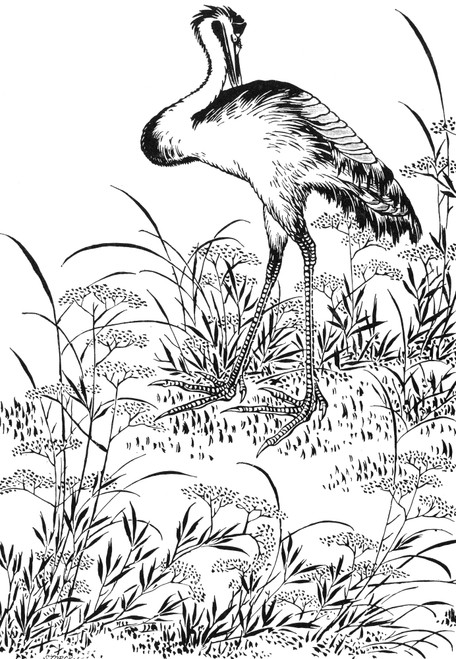 Crane. Poster Print by Granger Collection - Item # VARGRC0082343