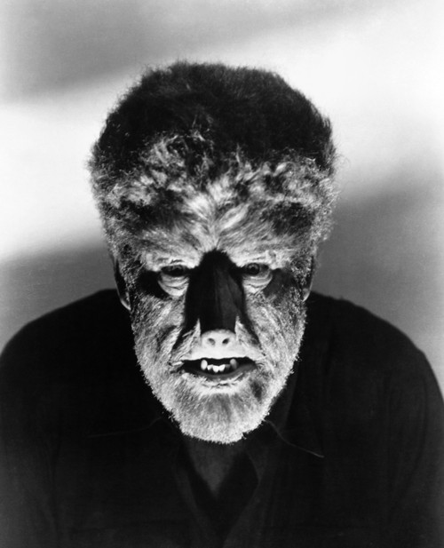 Wolfman, 1941. /Nlon Chaney, Jr., In The Title Role Of 'The Wolfman,' 1941. Poster Print by Granger Collection - Item # VARGRC0015387
