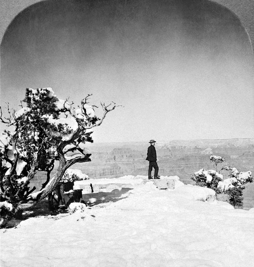 Grand Canyon: Sightseer. /Na Man Standing In The Snow On Granger Point As He Looks Out Over The Grand Canyon In Arizona. Stereograph, 1906. Poster Print by Granger Collection - Item # VARGRC0129245