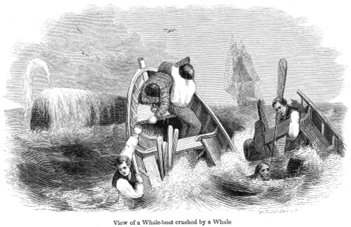 Whaling, C1830. /Nwood Engraving, American, C1850. Poster Print by Granger Collection - Item # VARGRC0059152 Whaling, C1830. /Nwood Engraving, American, C1850. Poster Print by Granger Collection - Item # VARGRC0059152