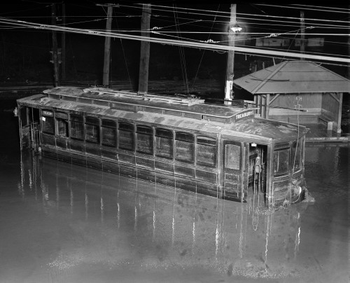 Flood, 1923. /Na Flooded Trolley Car. Photograph, 30 April 1923. Poster Print by Granger Collection - Item # VARGRC0325589