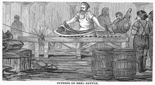 Chicago: Meatpacking, 1878. /Ncutting Up Beef Cattle At A Meatpacking Plant In Chicago, Illinois. Wood Engraving, American, 1878. Poster Print by Granger Collection - Item # VARGRC0101181