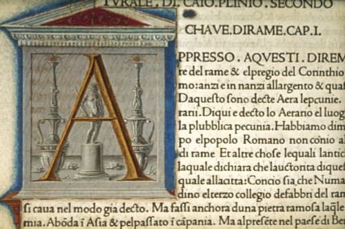 Statue: Illumination. /Nstatue In Initial 'A': Illumination From Italian Manuscript, 1476, Of Pliny'S Natural History. Poster Print by Granger Collection - Item # VARGRC0043277