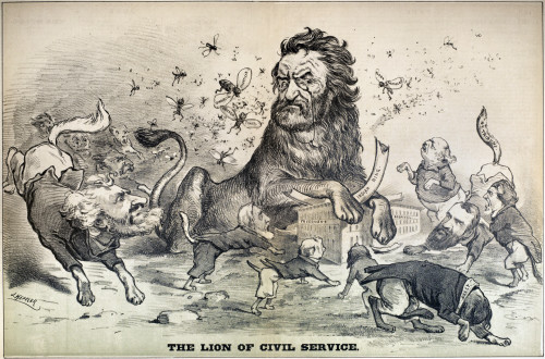 Carl Schurz (1829-1906). /Namerican Army Officer, Politician, And Reformer. 'The Lion Of Civil Service.' Cartoon, 1878. Poster Print by Granger Collection - Item # VARGRC0350556