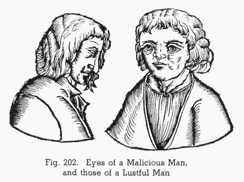 Physiognomy, C1531. /Neyes Of A Malicious Man, And Those Of A Lustful Man. Woodcut, 1531, From Johannes Indagine'S 'Chiromantia.' Poster Print by Granger Collection - Item # VARGRC0097066