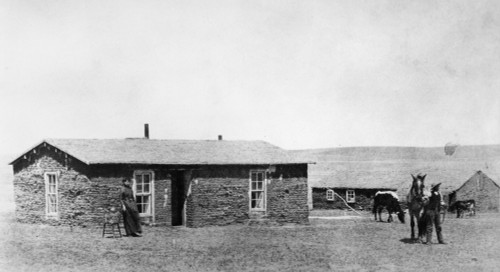 Nebraska: Homestead, C1880. /None Of The First Houses Built In Wahoo, Nebraska. Photograph, C1880. Poster Print by Granger Collection - Item # VARGRC0176487 Nebraska: Homestead, C1880. /None Of The First Houses Built In Wahoo, Nebraska. Photograph, C1880. Poster Print by Granger Collection - Item # VARGRC0176487