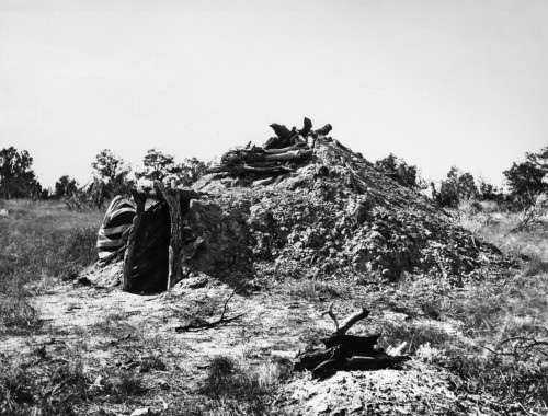 Navajo Hogan, 1879. /Na Navajo Hogan In The American Southwest. Photographed By John K. Hillers, 1879. Poster Print by Granger Collection - Item # VARGRC0172961