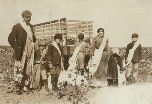 Child Labor: Cotton, 1916. /Nfamily Of Cotton Pickers In Comanche County, Oklahoma. Photograph By Lewis Hine, 1916. Poster Print by Granger Collection - Item # VARGRC0408347