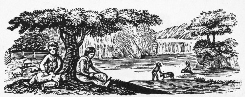 Farming: Almanac Cut. /Nwood Engraving, American, 19Th Century. Poster Print by Granger Collection - Item # VARGRC0077995