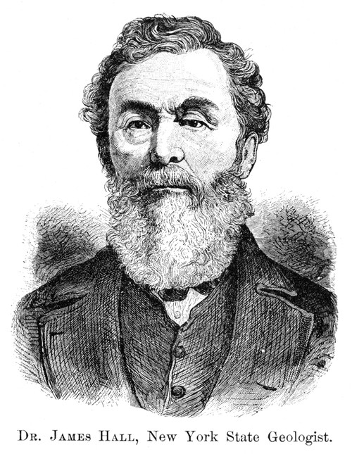 James Hall (1811-1898). /Namerican Geologist And Paleontologist. Wood Engraving, 19Th Century. Poster Print by Granger Collection - Item # VARGRC0069470