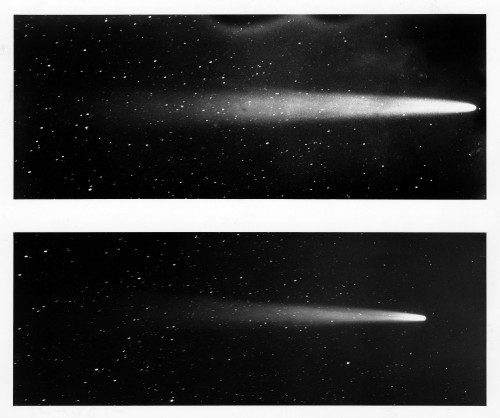 Halley'S Comet, 1910. /Ntwo Views Of Halley'S Comet. Photographed From Honolulu, 12 May And 15 May 1910. Poster Print by Granger Collection - Item # VARGRC0186231