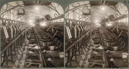 Lebanon: Silk, C1913. /N'Loosening Cocoon Fiber And Winding On Frames, Silk Mill, Beyrout, Syria.' Stereograph, C1913. Poster Print by Granger Collection - Item # VARGRC0324882