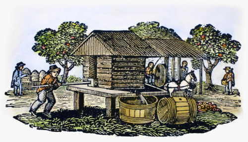 Cider Mill, 19Th Century. /Nwood Engraving, American, Early 19Th Century. Poster Print by Granger Collection - Item # VARGRC0087602