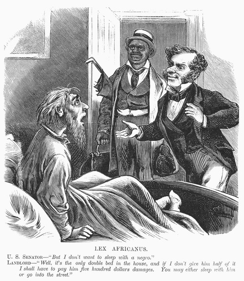 Reconstruction: Cartoon. /N'Lex Africanus.' A Southern Senator Is Forced To Share His Hotel Bed With A Black Legislator. Cartoon From A Northern American Newspaper Of 1874. Poster Print by Granger Collection - Item # VARGRC0090512