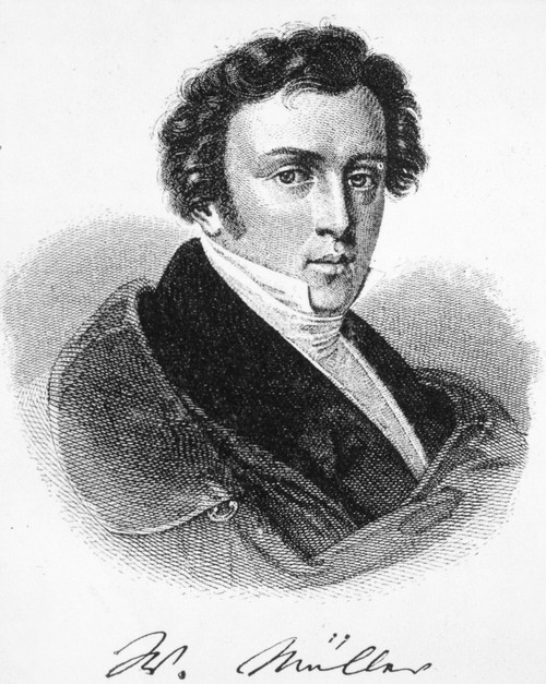 Wilhelm Mueller (1794-1827). /Ngerman Lyric Poet. Line Engraving, German, 19Th Century. Poster Print by Granger Collection - Item # VARGRC0053851
