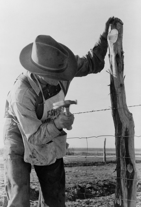 Texas: Barbed Wire, 1939. /Na Farmer Putting Up A Barbed Wire Fence On The Milton Farm In El Indio, Texas. Photograph By Russell Lee, March 1939. Poster Print by Granger Collection - Item # VARGRC0122317